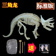 小鼠乐乐  儿童恐龙化石考古挖掘玩具diy手工制作拼装霸王龙骨架模型男孩益智玩具 标准2号三角龙