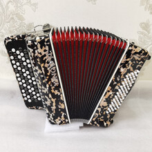 手风琴 8/12/60/96司巴扬琴 初学考级演奏 60贝司 迷彩黑 YW-672+