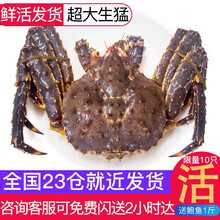 【鲜活 送鲍鱼1斤】味库 俄罗斯鲜活帝王蟹 海鲜水产 核酸检测通过 约5.1斤-4.7斤/一只