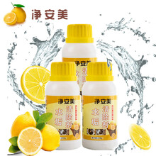 净安美除水垢清洁剂电水壶除垢剂柠檬酸洗饮水机热水瓶家用清除剂 248g/3瓶