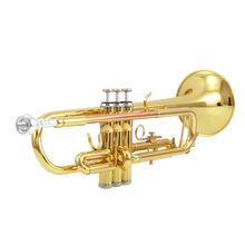 猛犸象镀银降B调小号乐器 初学 入门 演奏 考级西洋管弦 ITR-800  磷铜吹管 ITR-600  ITR-600pro