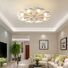 莱琪 客厅吸顶灯北欧简约现代梅花心形创意家用铁艺大气LED大厅灯灯时尚温馨婚房灯具全套灯具组合套餐 HZ809心形8头+9w+LED龙珠灯泡 白光