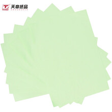 天章(TANGO)金彩天章A4彩色复印纸打印纸 彩纸彩色卡纸非硬 儿童手工折纸剪纸 浅绿色 80克 100张