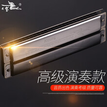 天鹅24孔复音口琴演奏加厚款A/B/C/D/E/F/G/A#/C#/D#/F#/G#12调全套乐器 C调常用调--初学推荐