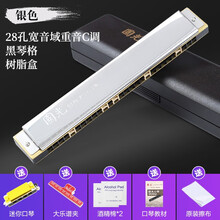 国光重音C调口琴 专业演奏级初学者中老年人成人学生儿童复音入门吹奏乐器 28孔宽音域重音C调 银色+送好礼