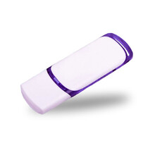 优易思（UOeOS）U盘64M/128M/256M512m1g2g4G公司招投标书用创意定制优盘 U10紫色 2G