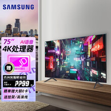 三星（SAMSUNG）壁挂式 超薄 全面屏 4K超高清 wifi智能网络语音遥控液晶平板家用电视机 【超性价比】4K 超高清75英寸TU8800