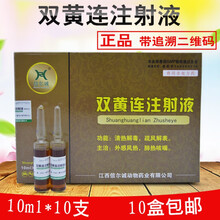 兽用兽药双黄连注射液猪牛羊用猪药清热解毒