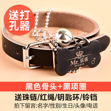 SLPC 狗牌项圈定制小型犬刻字挂牌身份牌猫牌泰迪宠物狗狗铃铛饰品大型犬狗项链 黑色骨头+黑色皮项圈 S（适合8-15斤左右宠物）