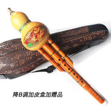 葫芦丝降b调c调凤尾竹真葫芦小学生成人儿童初学入门初学者乐器 降B调+盒子