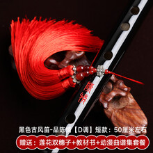 米囹 笛子陈情令同款周边初学入门横笛男女古风竹笛自学陈情笛 品陈情【D调】莲花双穗子+教材书+曲谱集套餐