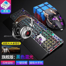 狼蛛机械键盘鼠标套装 有线游戏键鼠套装电竞宏编程鼠标键盘台式笔记本电脑USB背光发光CF吃鸡金属加重 朋克版黑色混光（青轴）机械键盘+压枪鼠标+K9耳机