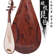 老红酸枝 红木琵琶乐器 成人初学 演奏 考级 琵琶 精品演出级琵琶 精品酸枝木琵琶