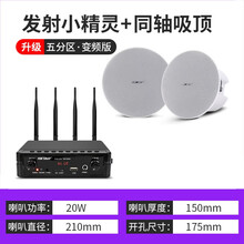 先科（SAST）无线蓝牙吸顶音响壁挂壁喇叭家用天花吊顶套装嵌入式室内店铺餐厅吊球背景音乐家用音箱分区 发射器+同轴高低音吸顶 音响数量（2）
