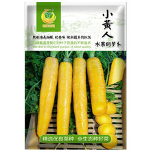 凤鸣雅世小黄人水果胡萝卜种子10克黄皮胡萝卜种子黄葫芦萝卜种籽齐头黄参胡萝卜种籽蔬菜秋季孑