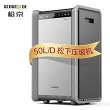 松京（SenseGene）DH05 除湿机/抽湿机除湿量50L/天地下室 别墅地下室复式商用工业吸湿器