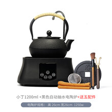 御汕堂 日本铁壶原装进口纯手工南部铸铁茶壶泡茶烧水壶生铁壶电陶炉套装 小钉1200ml+黑色自动上水炉