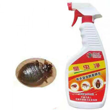 家用臭虫药杀虫剂除咬人臭虫净粉去除虱子床虱木虱克星床上除虫