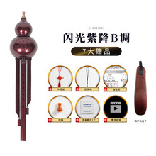 伊薇葫芦丝 乐器 初学成人儿童学生初学者c调降b调自学入门胡芦丝 闪光紫降B调【7大品】