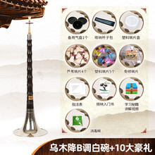 精制初学者唢呐乐器全套乌木唢呐调成人大小号唢呐 乌木降B调白碗+10大