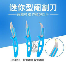 七六牧业小猪阉割刀兽用阉割刀敲猪刀柳叶刀兽用手术刀去势刀阉猪刀 刀片 迷你刀3把