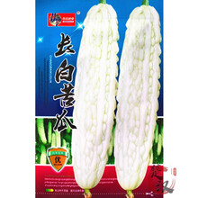 花友秀 苦瓜种子 长绿苦瓜种子白苦瓜种子 菜籽 绿色 蔬菜种子 家庭 长白苦瓜种子原装5g