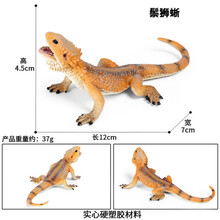 科莫多巨蜥仿真模型爬行动物蜥蜴科莫多龙玩具实心塑料仿真摆件 12cm鬃狮蜥