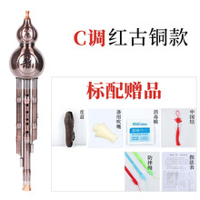 舒弗（LACHOUFFE）葫芦丝镀铜拉丝小学生初学入门c调成人演奏型降B调乐器 红古铜C调+标配
