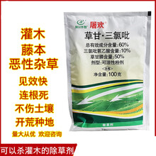 屠欢60%草甘·三氯吡非耕地小飞蓬灌木笔管草构树阔叶杂草络石藤果园荒地顽固性杂草杂树灌木开荒除草剂 屠欢60%草甘·三氯吡100g/袋