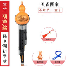 葫芦丝乐器初学者调降调儿童小学生入门演奏成人男女自学 紫竹初学款降B调(不带盒子 书)