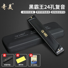 奇美黑霸王口琴24孔复音口琴成人初学专业演奏口琴A~G口琴套装 哑光黑色24孔口琴 D调