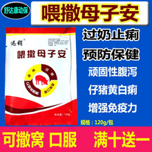 兽用止痢散 小猪拉稀乳仔猪黄白痢母猪药过奶催乳止痢 5包价数量拍一