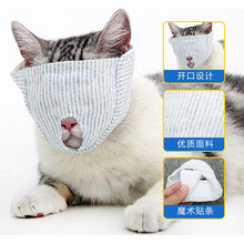 猫咪嘴套剪指甲防咬神器防叫扰民猫叫止叫器防猫咬人嘴罩头套口罩 猫面罩-遮眼款 M码(建议9-15斤)