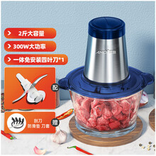 夏新（AMOi）绞肉机家用电动小型多功能打肉馅蒜泥神器搅拌碎菜辅食料理机 不锈钢款双刀