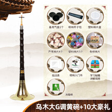 精制初学者唢呐乐器全套乌木唢呐调成人大小号唢呐 乌木大G调黄碗+10大