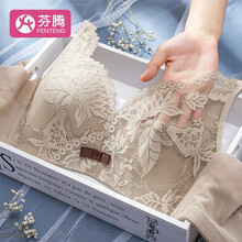 芬腾 蕾丝3D面膜杯内衣女无钢圈大胸显小文胸收副乳调整型胸罩 卡其色 80C