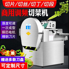 羚木切菜机商用全自动多功能切菜器土豆切片切丝切丁机商用封闭式学校酒店食堂用电动蔬菜切菜机 双调频20(韭菜葱专用)