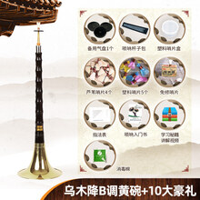 唢呐乐器全套 初学者民族乐器喇叭d调小号唢呐演奏服务 乌木降B调黄碗+10大