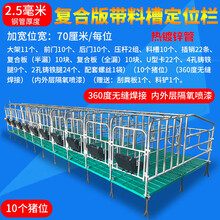 母猪定位栏热镀2.5加厚复合板限位栏5位10位猪产床保育床养殖设备中泰农牧 热镀2.5宽70带板10位