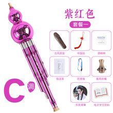 XINXIANGXI 葫芦丝乐器初学者c调降b调小学生儿童专业演奏型防摔胡芦丝 【钢琴烤漆款】紫红色C调套餐二