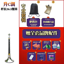 唢呐乐器全套 乌木唢呐杆d调C降B调初学者成人锁呐带哨片 升C调(套餐)