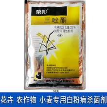 三唑酮白粉病 粉锈宁 25%三唑同果树锈病琴叶榕锈病叶斑病 小麦白粉病 月季药多肉药花卉杀菌剂 10袋 50克/袋