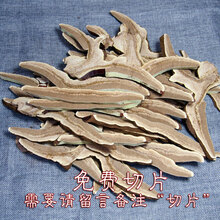 超大 长白山半灵芝带孢子粉 松杉灵芝 种植赤灵芝 林芝原产地