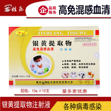 高免混感血清兽用银黄提取物注射兽药