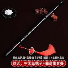 米囹 笛子陈情令同款周边初学入门横笛男女古风竹笛自学陈情笛 品陈情【E调】(中国结穗子+曲谱集套餐)