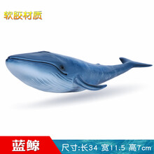 仿真软胶海洋动物模型鲨鱼玩具鲸鱼蓝鲸锤头鲨海底世界儿童礼物 蓝鲸