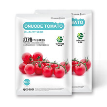 中科茂华蔬菜种子红禧樱桃番茄种子圣女果酸甜口串收小西红柿阳台盆栽易种植1000粒