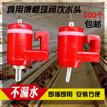 鸡用卡式钢球乳头红头 球阀式饮水嘴 鸡用水线养殖设备用品 粗钉50个