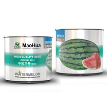 中科茂华瓜果种子中科三号西瓜种子免整枝打叉大果型15-30斤大红瓤懒汉管理50克