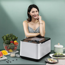 TIPON 德国汉朗果蔬清洗机家用水果蔬菜解毒去除农药残渣洗菜机食品净化机